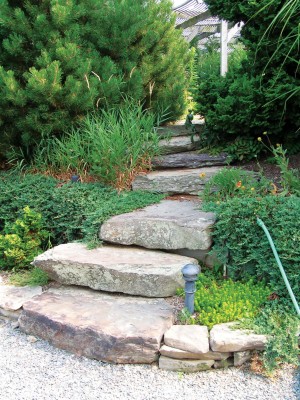 bigstockphoto_Secluded_Staircase_In_A_Garden_1894406