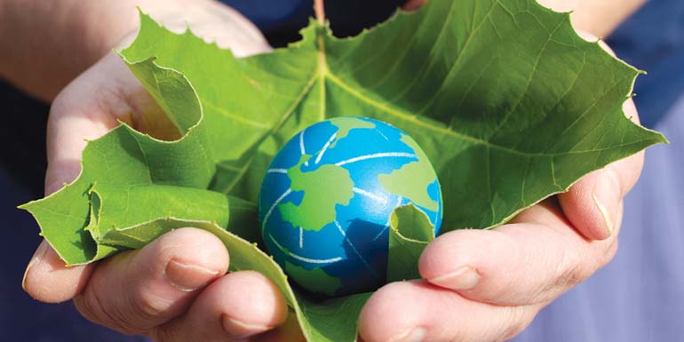 person holding a leaf with small earth