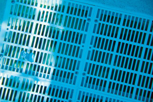 grate over underwater pool drain