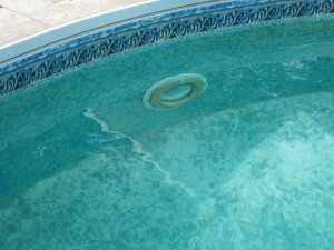 black algae in vinyl pool