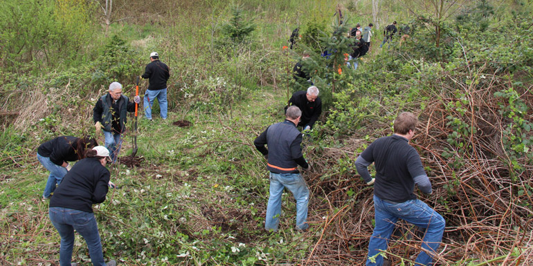 HaloSource volunteers help restore wetland area_1