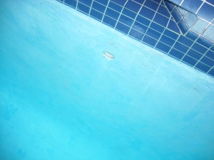 DSCN0950_2