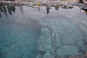 water quality type 3 and 4 natural swimming ponds