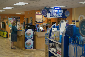 Evosus-PoolHouse-Oregon-Retail-counter057