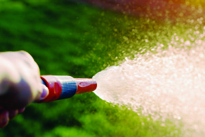 Hand With Garden Hose