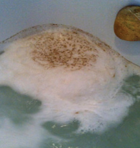 How To Get Rid of Hot Tub BioFilm Slime