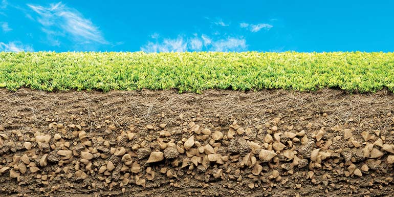 grass with roots and soil on blu sky background