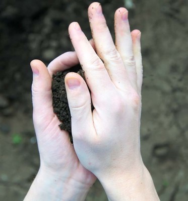 Hand rumpling black soil with dry soil on background