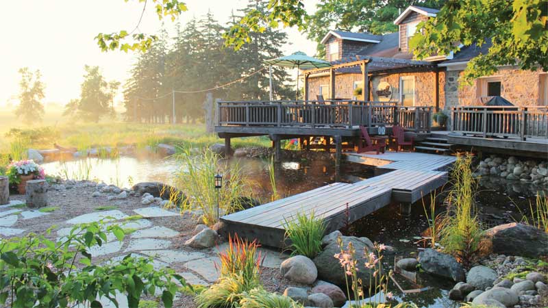 Swim ponds can mimic a traditional pool