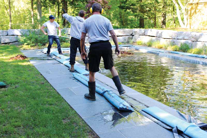 Crew of pool professionals maintaining a pool.