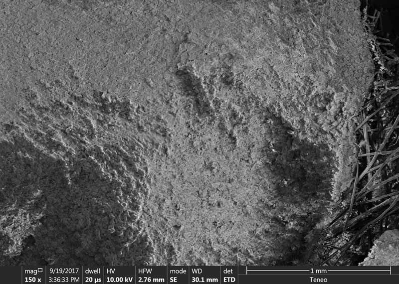 Under microscope, calcium deposits blind the surface of the filter fibres.