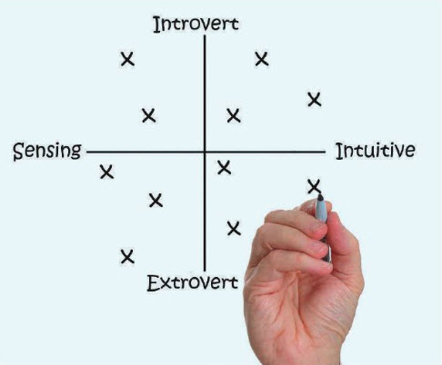 Personality tests can help provide a sufficient amount of insight on not only the strengths of each employee, but also their weaknesses, which are equally important.