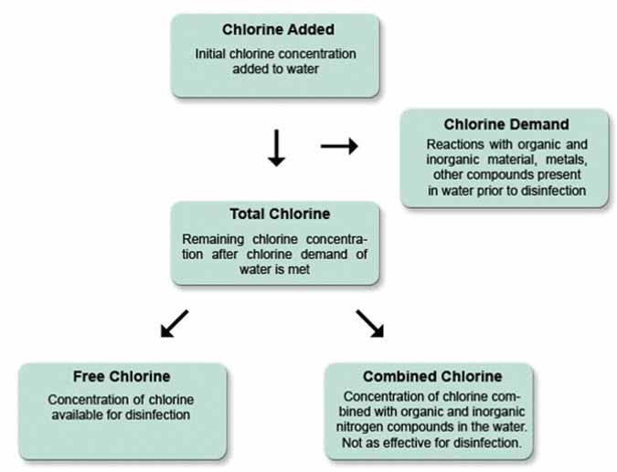 Many people think this odour is a result of too much chlorine; however, what it really means is too much combined chlorine.