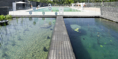 Borden Park Swimming Pool