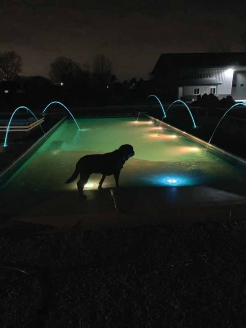 Many times, consumers want this type of pool because they have small grandchildren, older dogs, or have a disability or injury that makes the beach entry appealing.