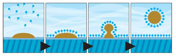 Certain algaecides and most enzyme-based products contain surfactants that modify water tension, helping to pull debris off surfaces and back into the water where it can be removed by the filter or broken down further by treatment products.