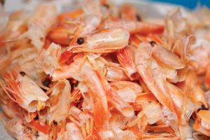 Chitosan is produced by extracting chitin, the supportive material of crustaceans recycled from the food preparation industry.