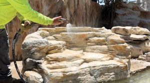 Using large sponges or a hose to moisten cast concrete rocks to apply the stain.