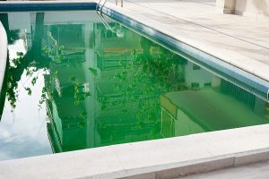 The case of neon green swimming pools in New Jersey has been solved.