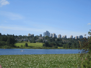 Burnaby city view with the lake in the foreground