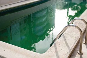 Green algae: There is more than one type. Differentiating at the poolside is not realistic.