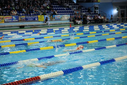 competition-sized swimming pools with many lanes