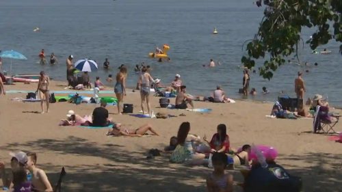 people at the beach