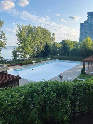 Outdoor pool area surrounded by lush green hedges and trees, with a serene lake and high-rise buildings visible in the background. The pool appears to be under maintenance, with an empty white interior and tools placed nearby.